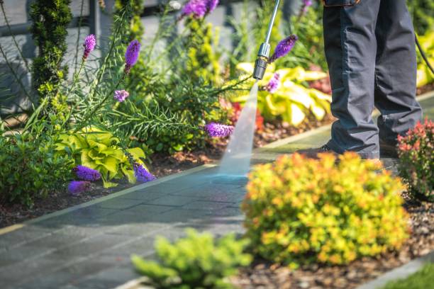 Best Restaurant Pressure Washing  in Los Banos, CA